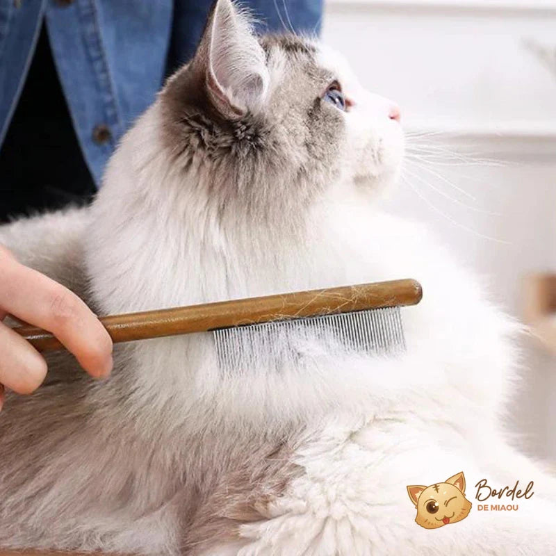 Brosse anti puce chat