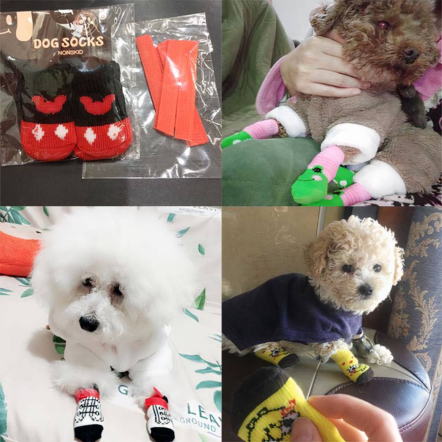 Chaussons multicolores chaud en coton pour chien