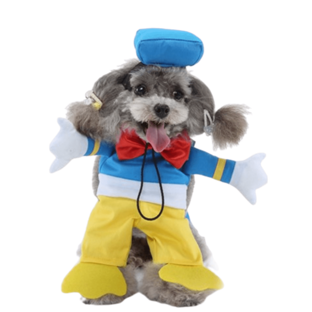 Déguisement pour chat et chien - donald