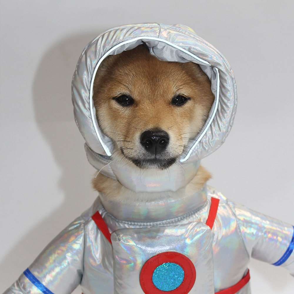 Déguisement pour chat et chien - astronaute