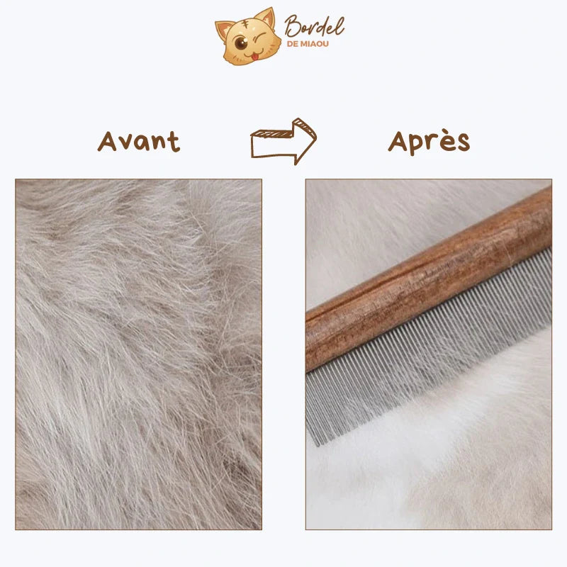 Brosse anti puce chat