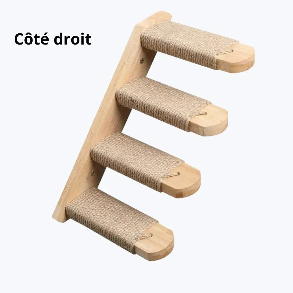 Escalier pour chat