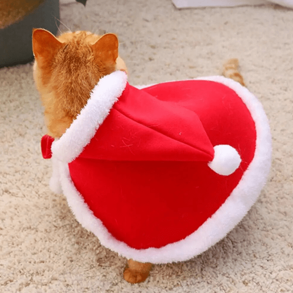 Déguisement pour chat - cape père noël