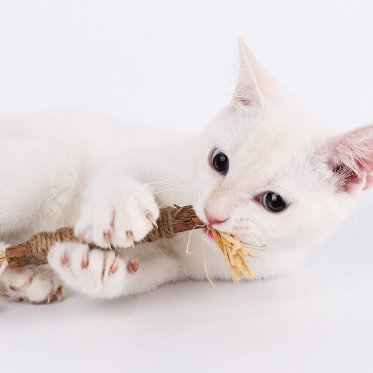 Bâton à mâcher pour chat