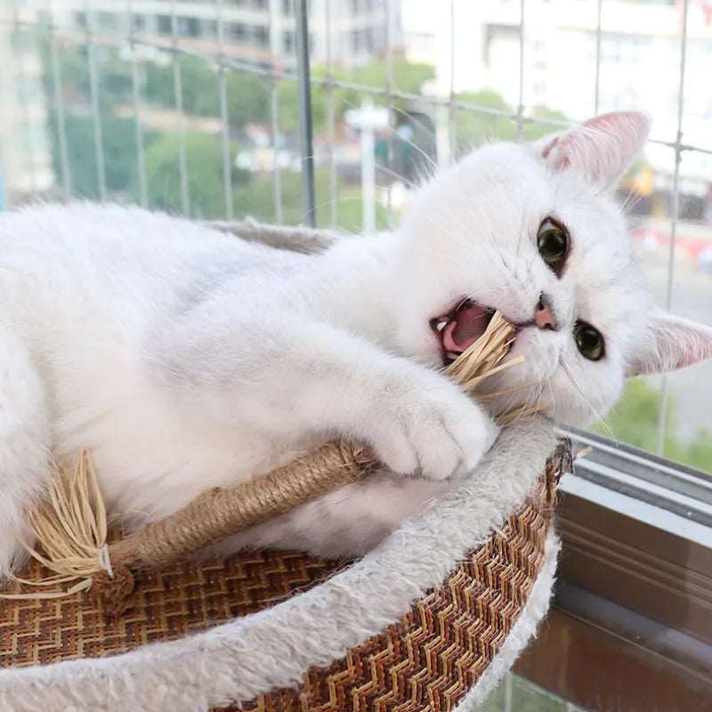 Bâton à mâcher pour chat