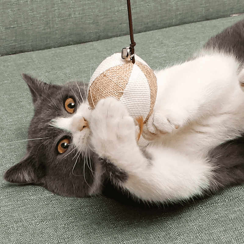 Canne à pêche en bois pour chat