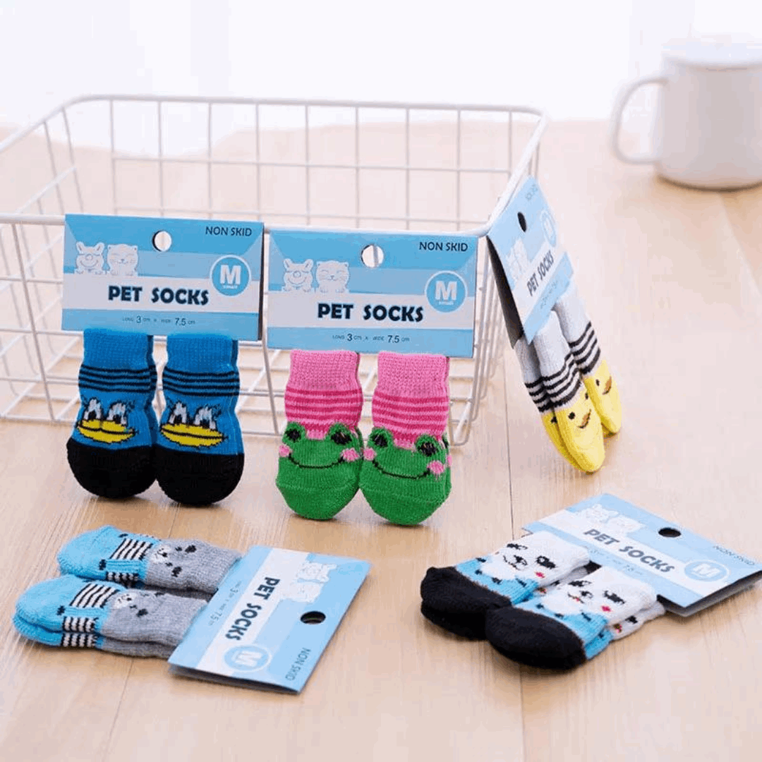 Chaussettes pour chien - bleu grenouille