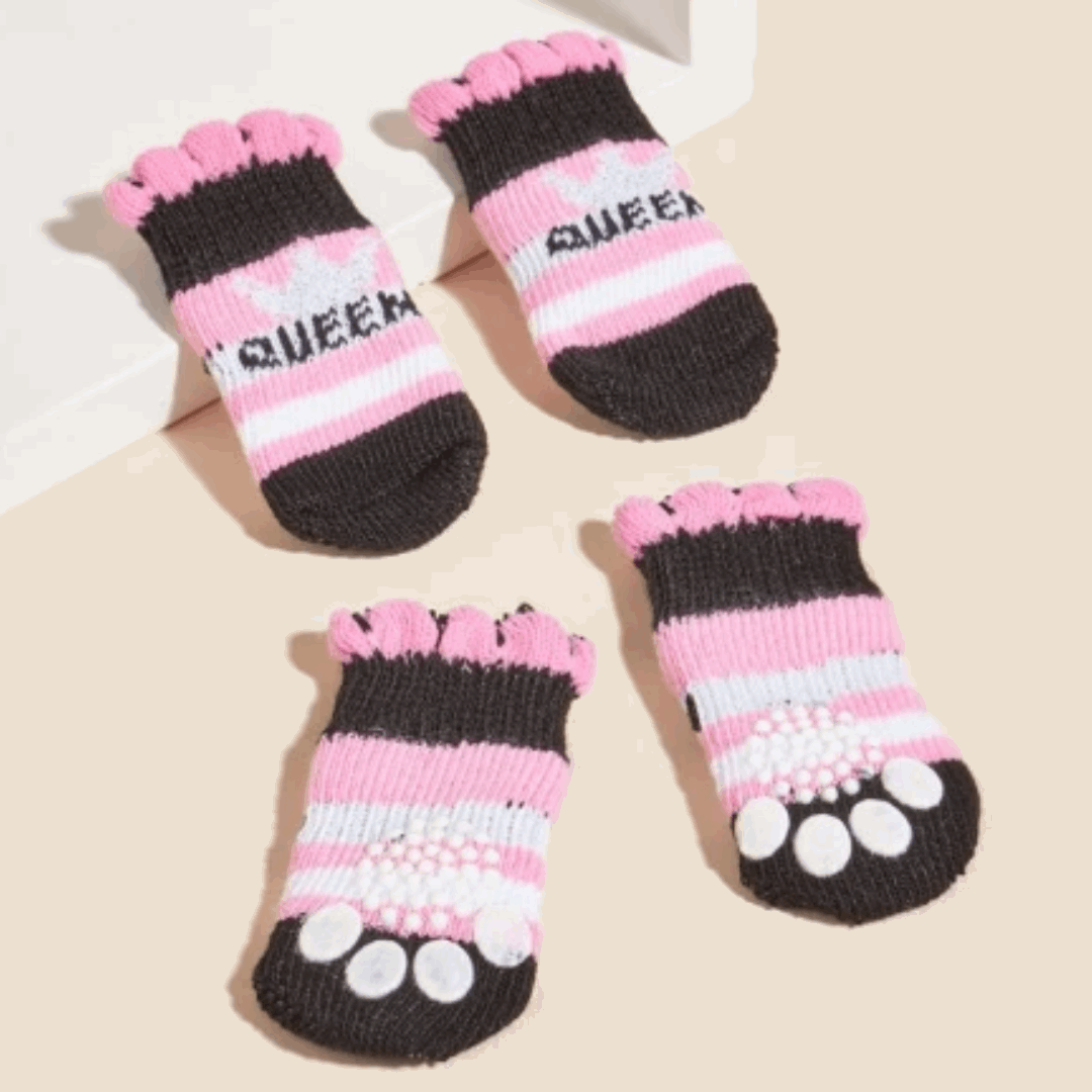 Chaussettes pour chien - queen
