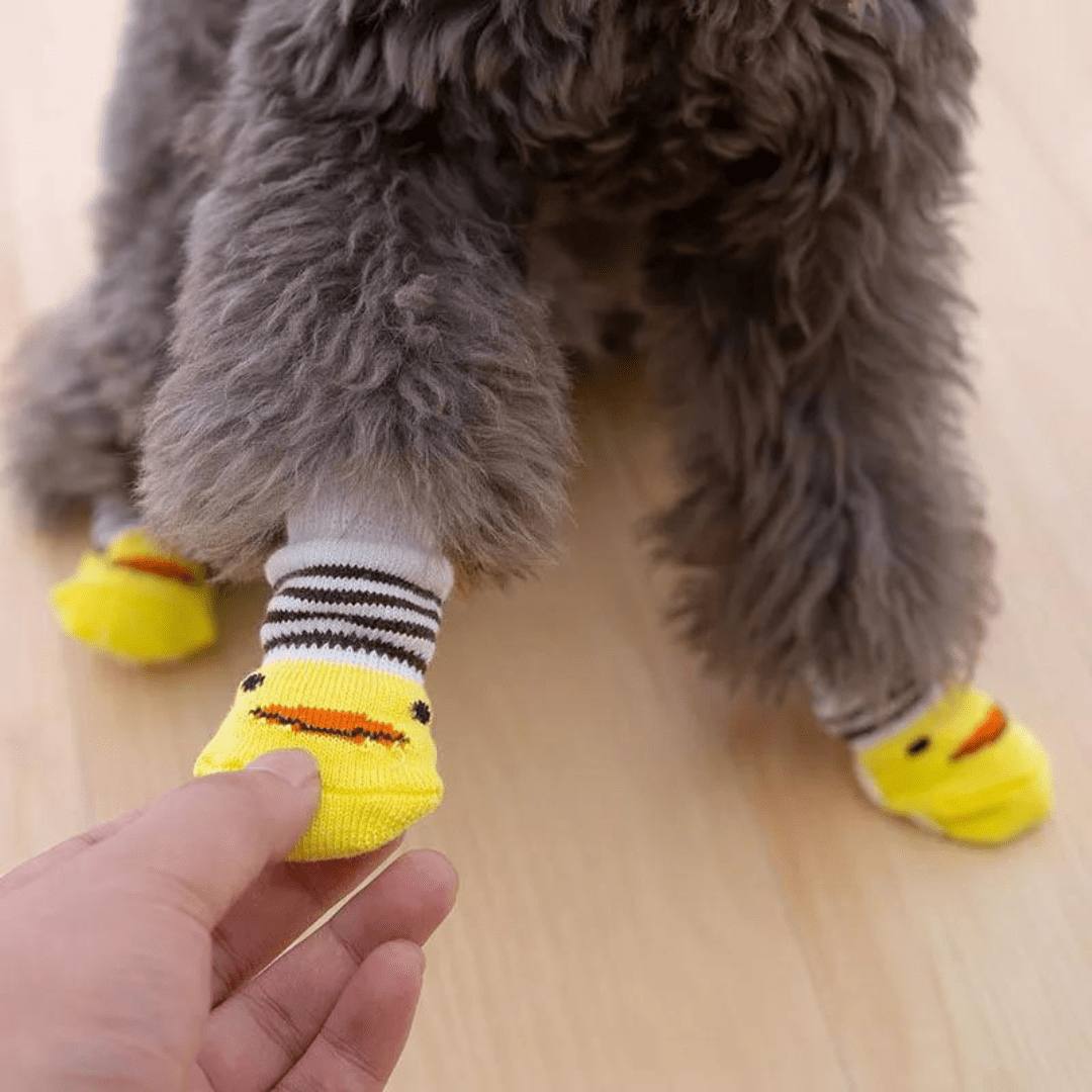 Chaussettes pour chien - jaune avec rayures