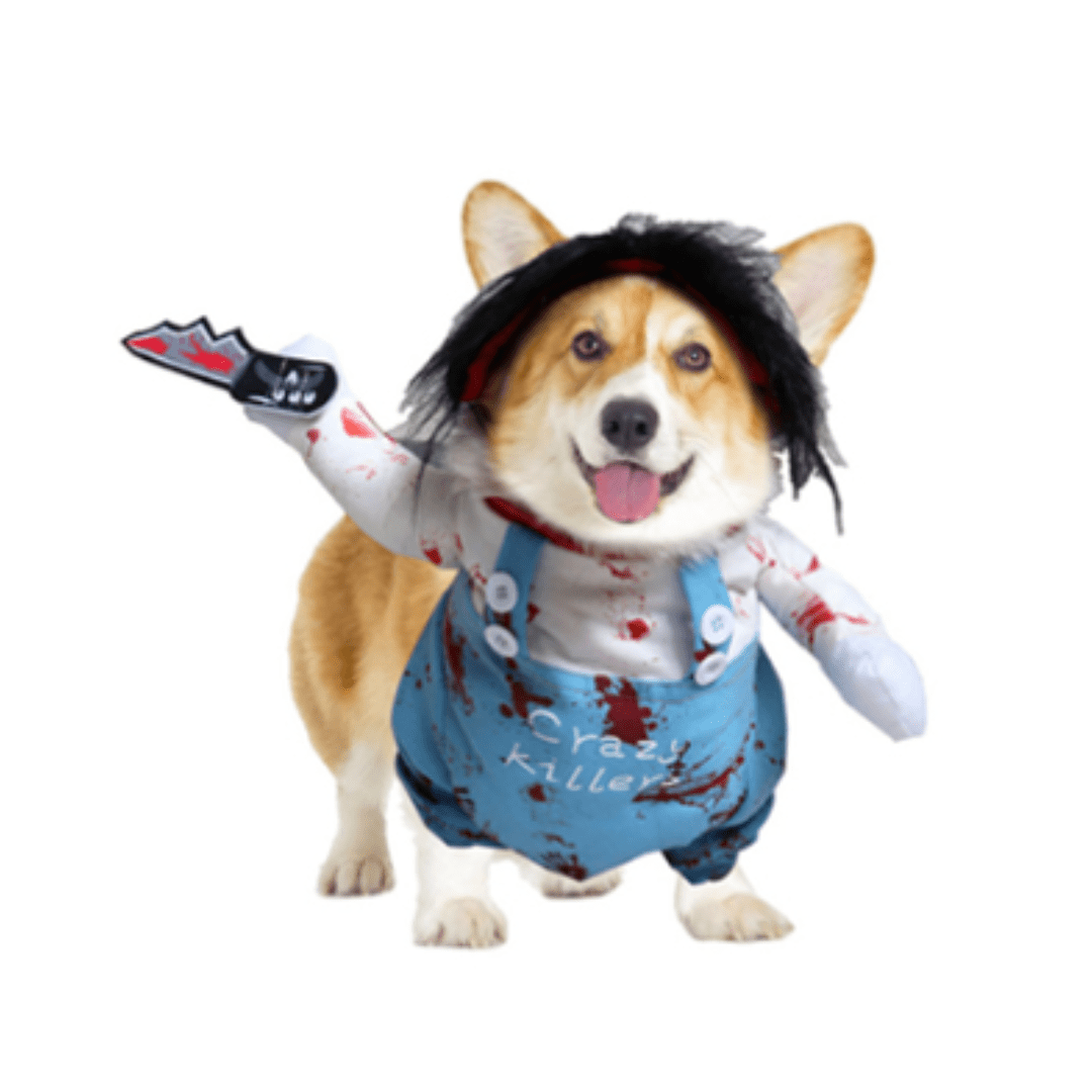 Déguisement pour chat et chien - chucky 2
