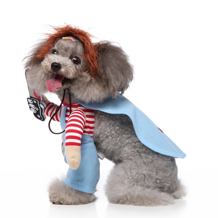 Déguisement pour chat et chien - chucky