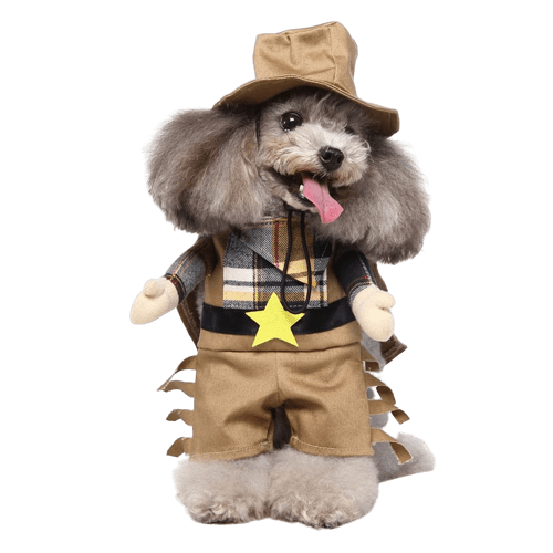 Déguisement pour chat et chien - cowboy