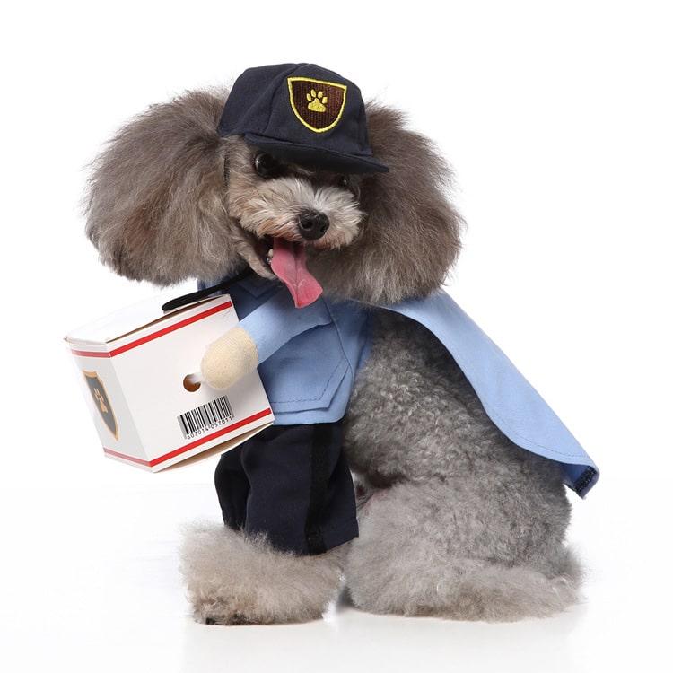 Déguisement pour chat et chien - livreur