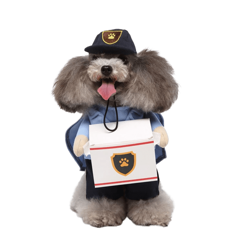 Déguisement pour chat et chien - livreur