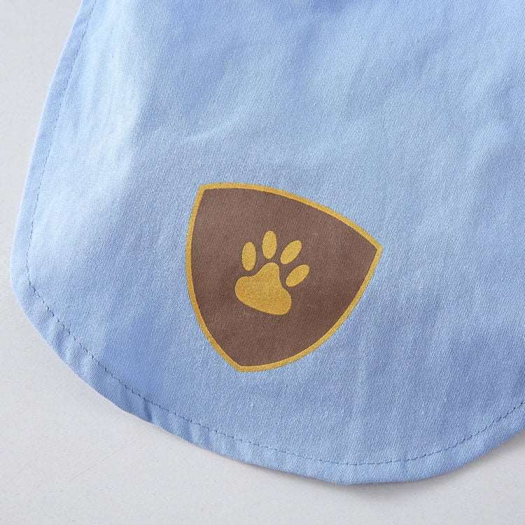 Déguisement pour chat et chien - livreur