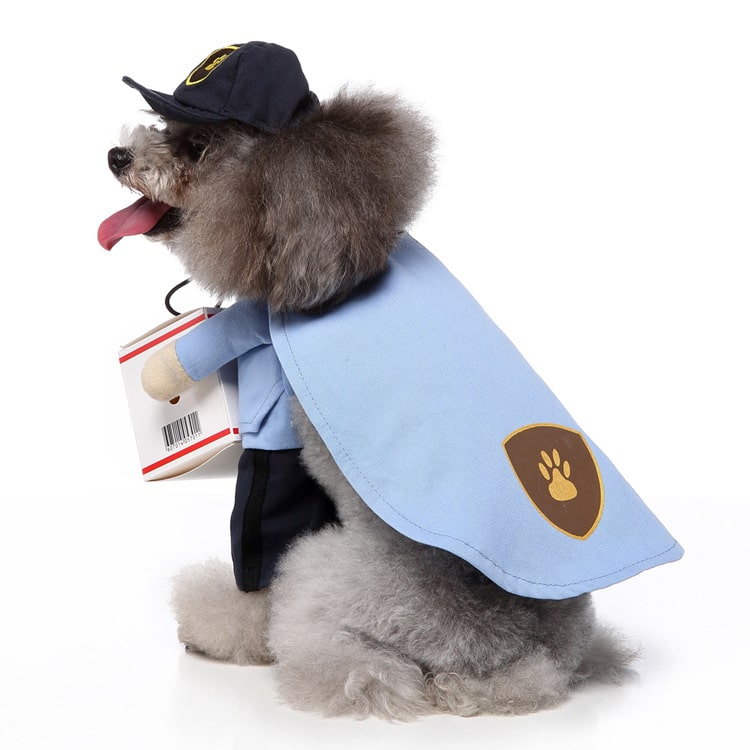 Déguisement pour chat et chien - livreur