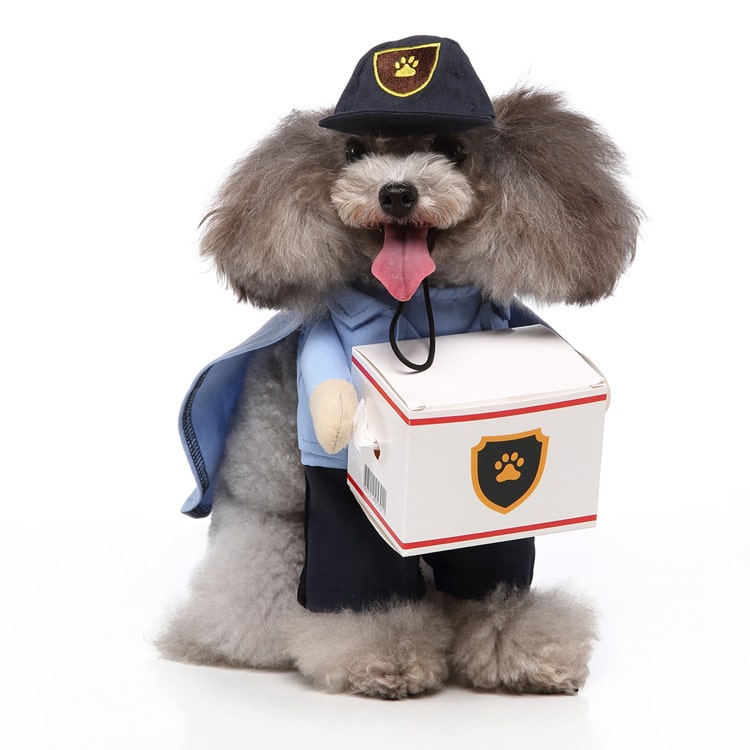 Déguisement pour chat et chien - livreur