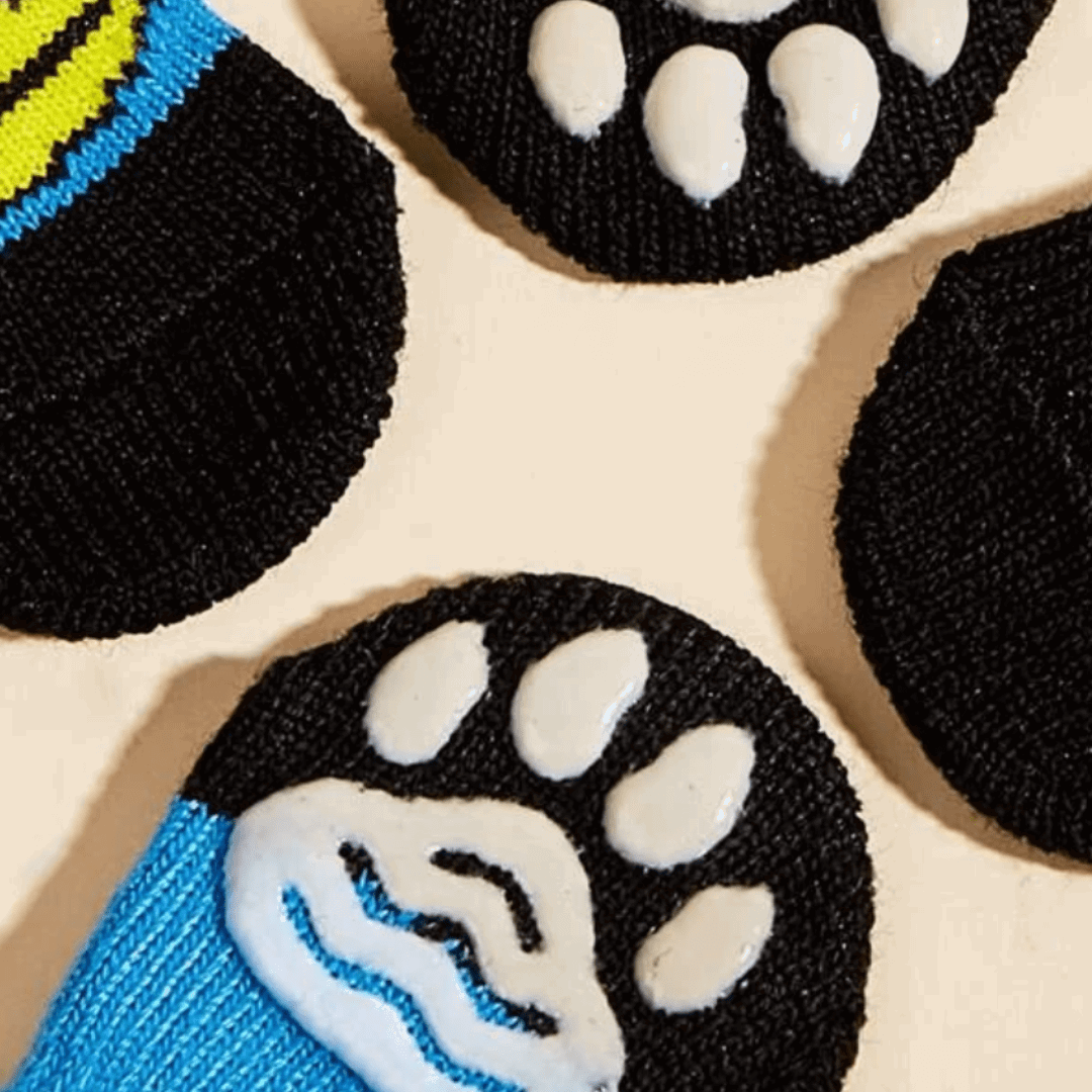 Chaussettes pour chien - canard