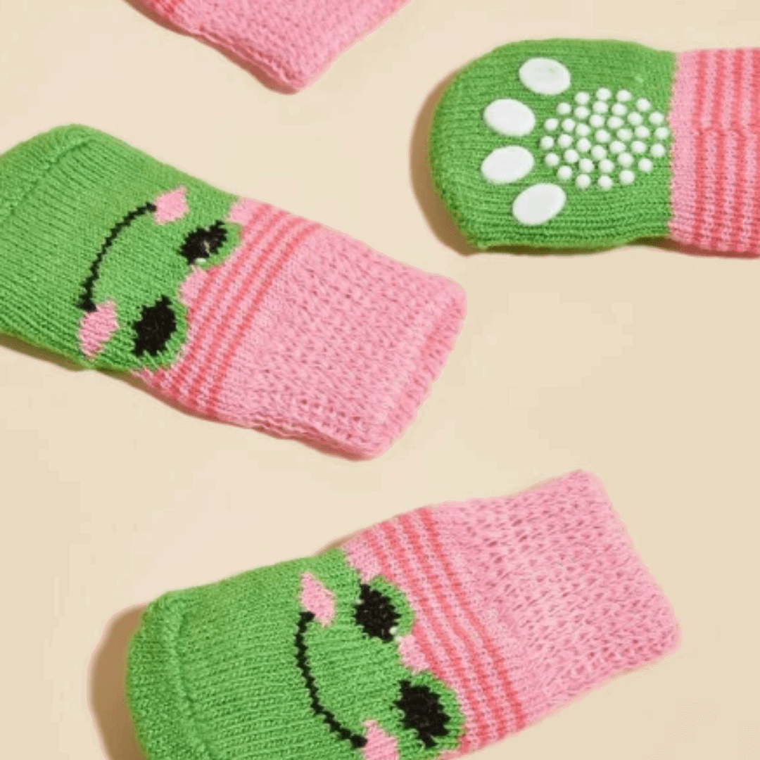 Chaussettes pour chien - grenouilles