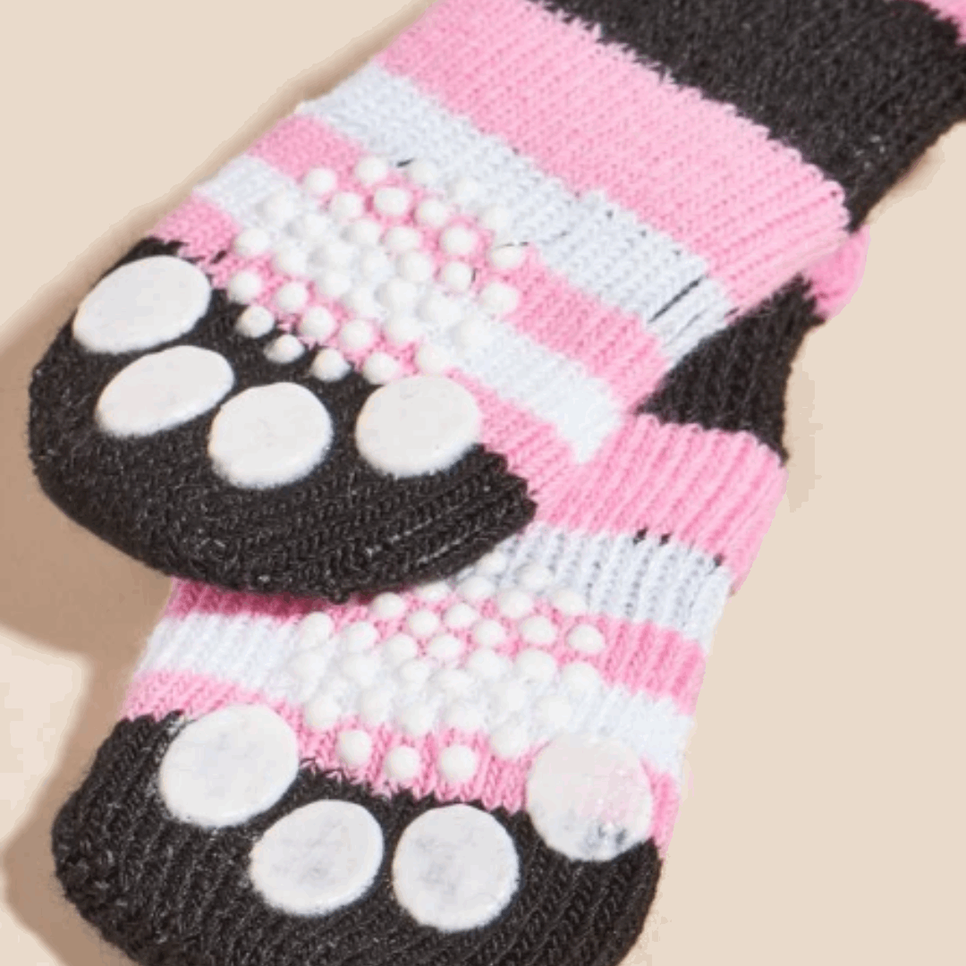 Chaussettes pour chien - queen