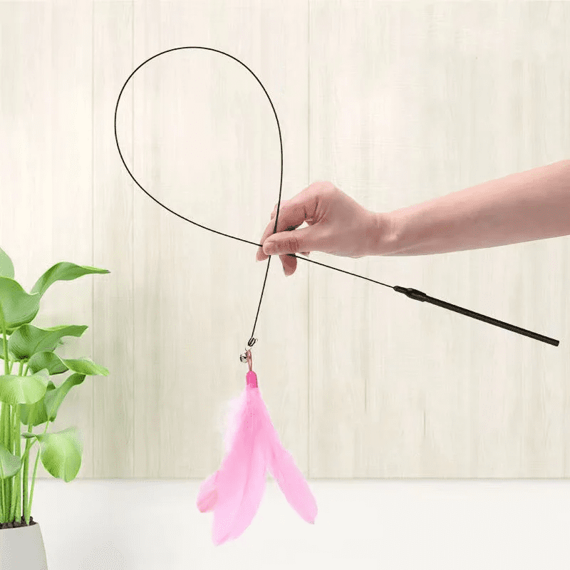 Canne à pêche avec ventouse pour chat