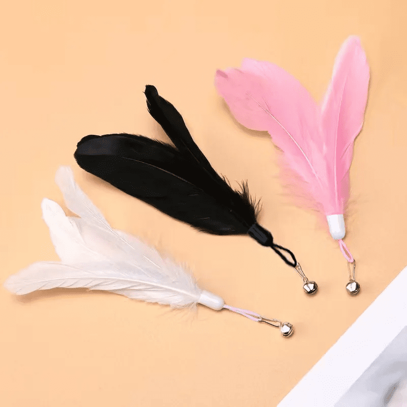Canne à pêche avec ventouse pour chat