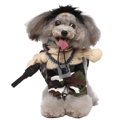 Déguisement pour chat et chien - militaire