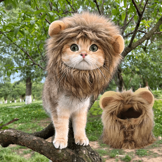 Déguisement pour chat - perruque crinière de lion