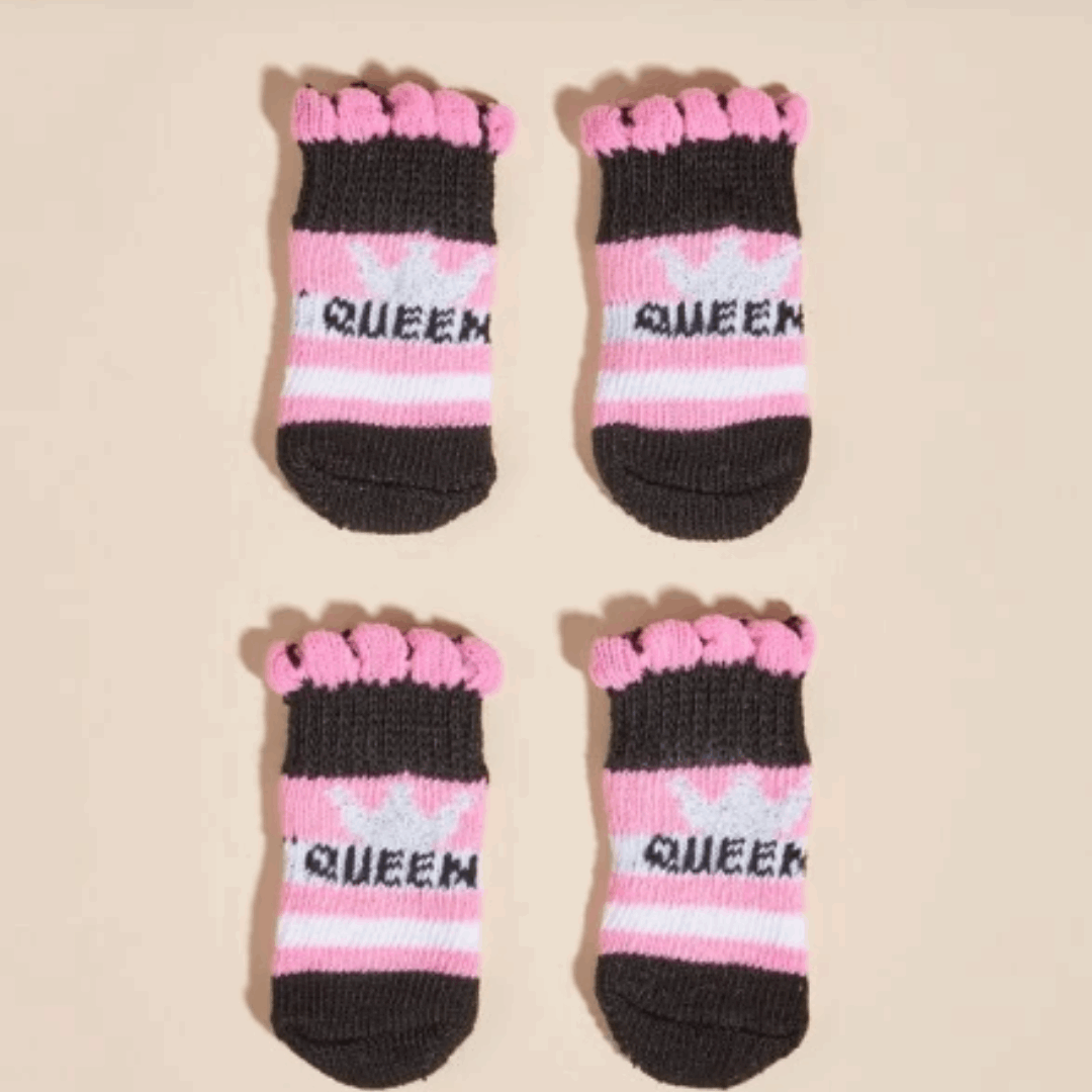 Chaussettes pour chien - queen