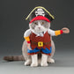Costume chat amusant pirate