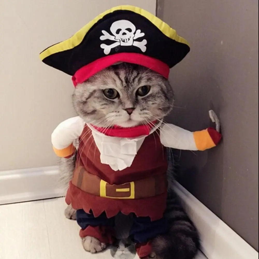 Costume chat amusant pirate