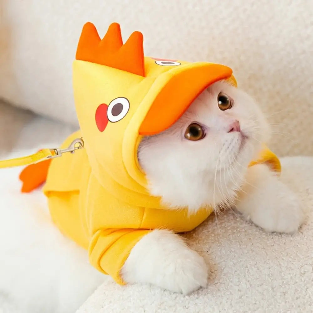 Déguisement chat capuche mignon