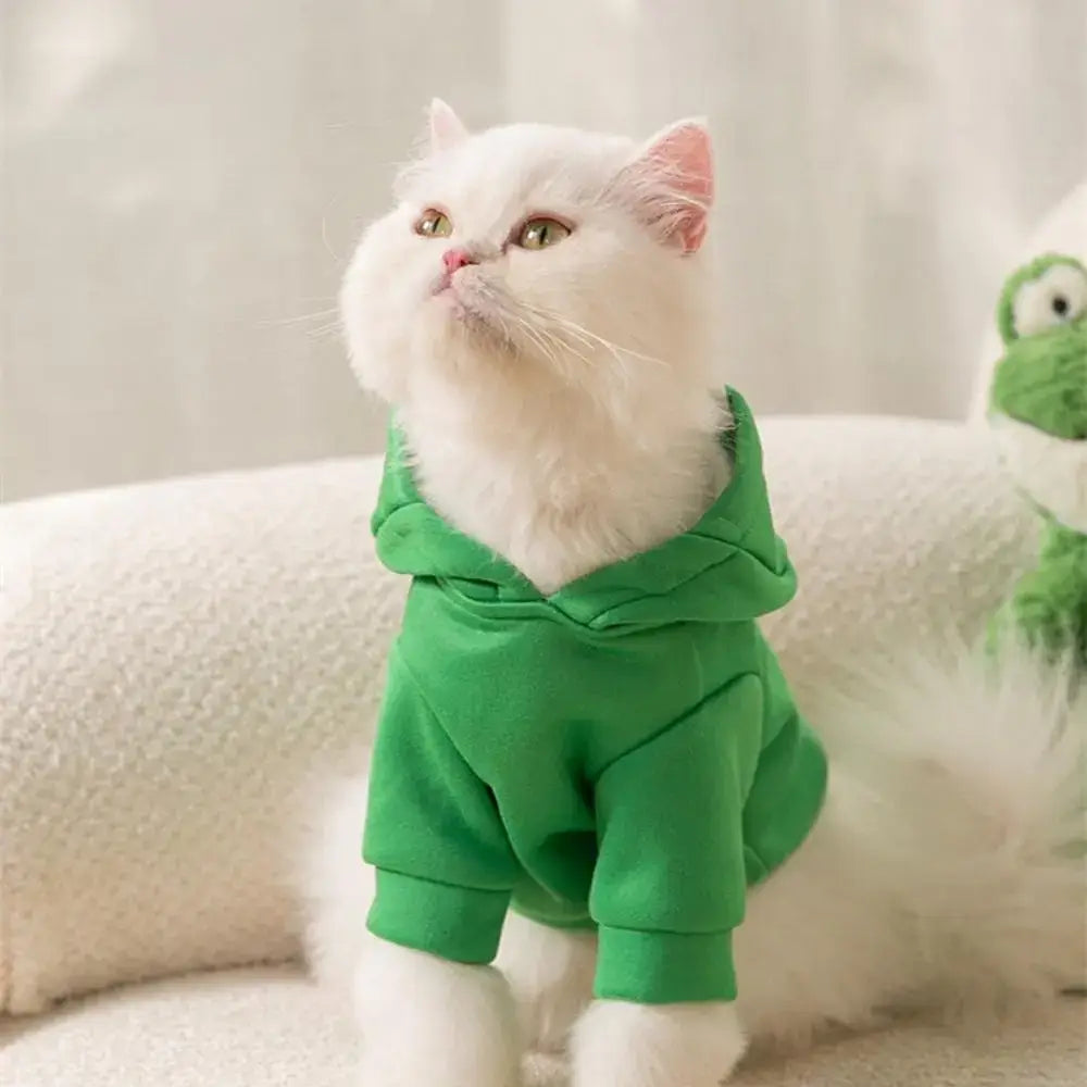 Déguisement chat capuche mignon