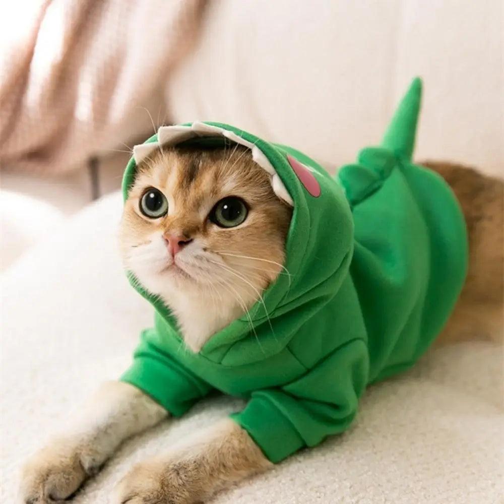 Déguisement chat capuche mignon