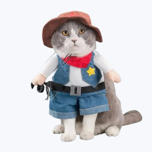 Costume chat cowboy