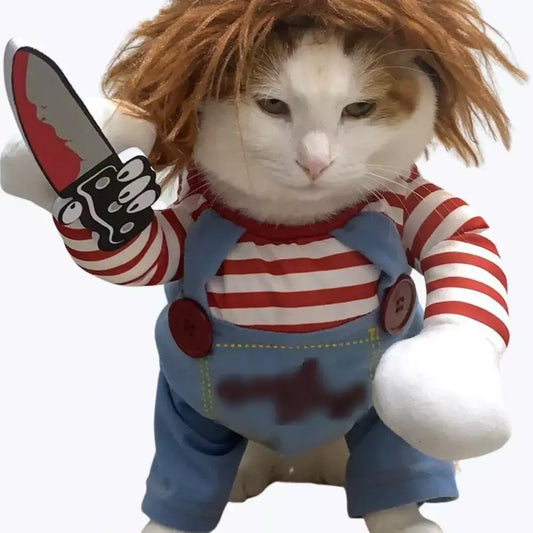 Costume halloween chat chucky