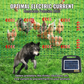 Kit filet de clôture électrique 1,21 x 51,2 m - clôture filet pe avec poteaux et piquets a double pointe - maille portable utilitaire pour poulets
