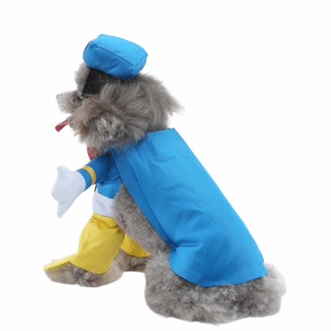 Déguisement pour chat et chien - donald