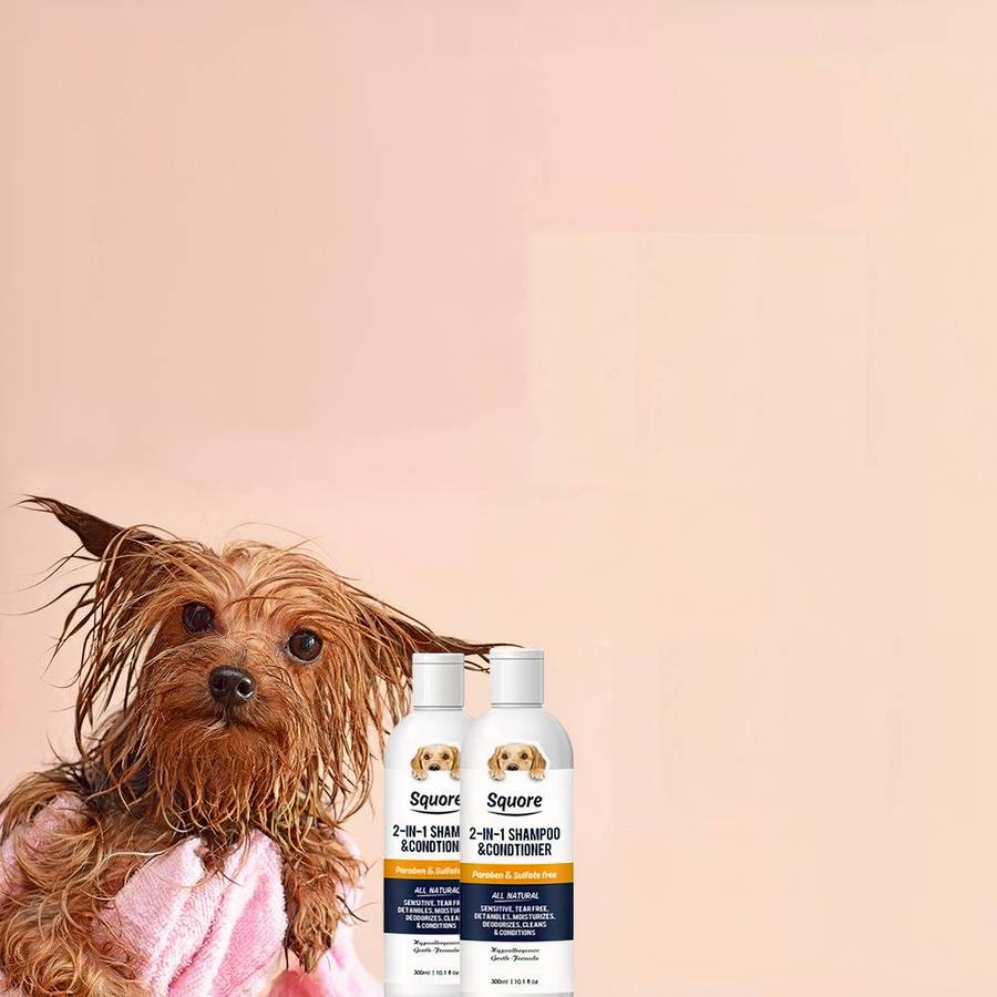 Shampoing pour chien