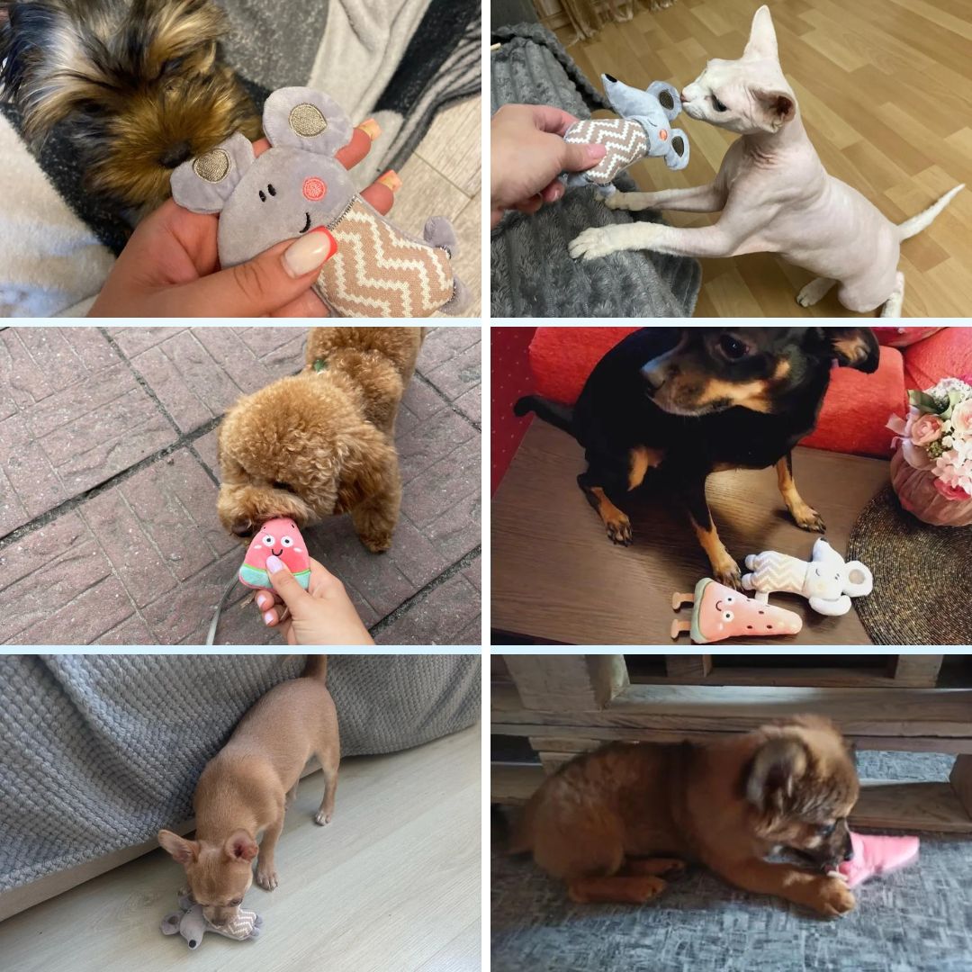 Mini peluches pour chat - 2e édition