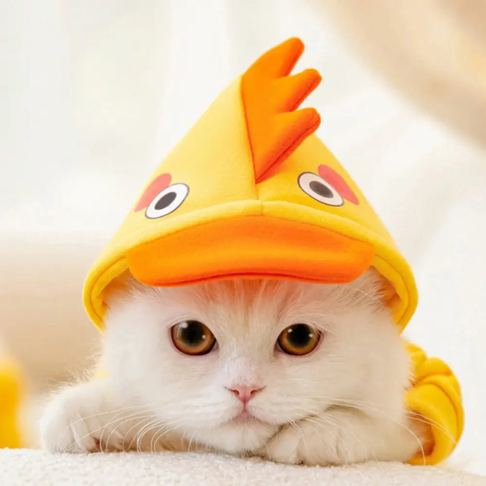 Déguisement chat capuche mignon