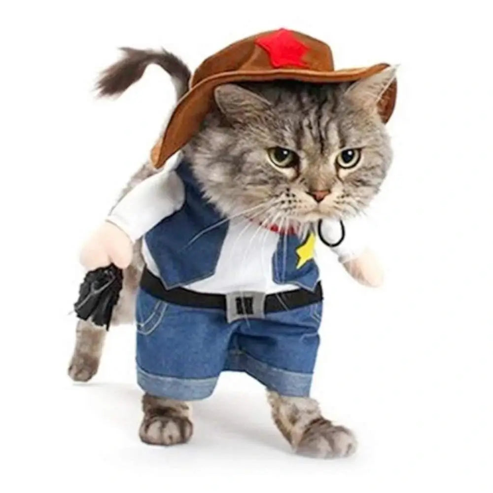 Costume chat cowboy
