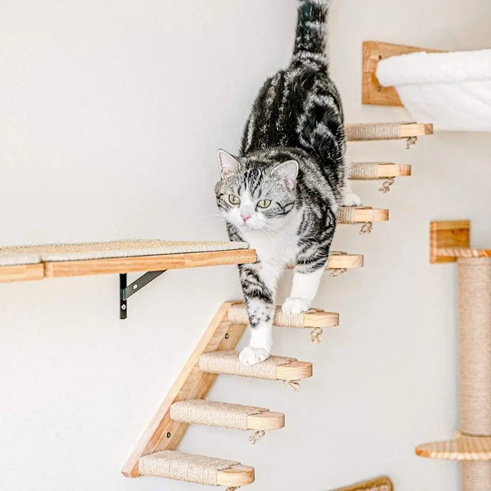 Escalier pour chat