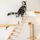 Escalier pour chat