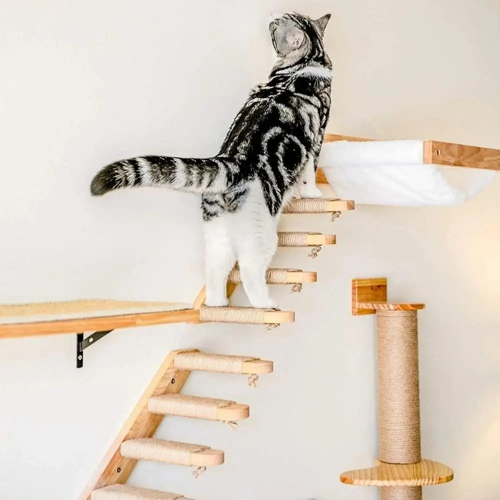 Escalier pour chat
