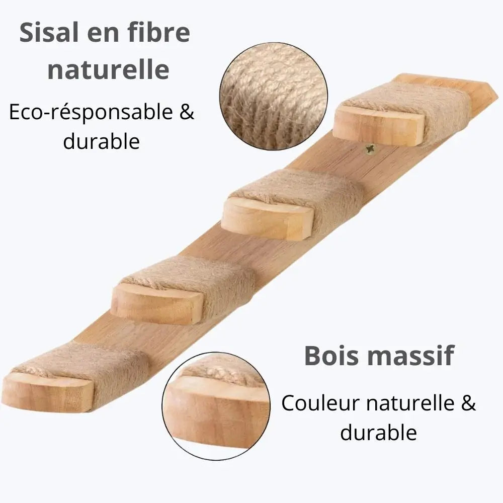 Escalier pour chat
