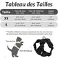 Harnais chat anti-fugue