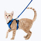 Harnais chat anti-fugue