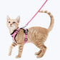 Harnais chat anti-fugue