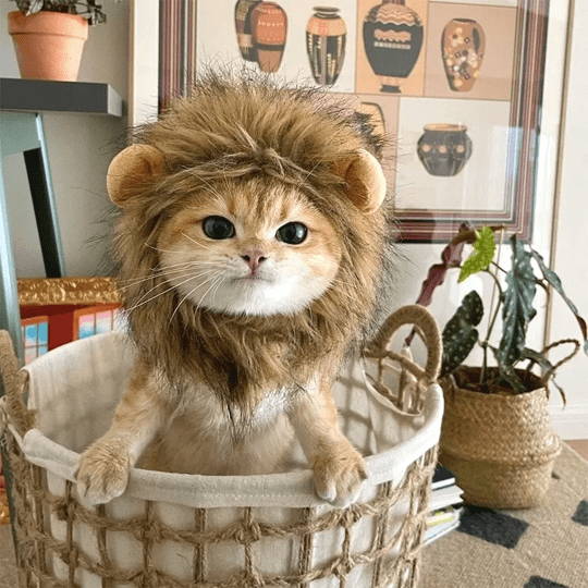 Déguisement pour chat - perruque crinière de lion